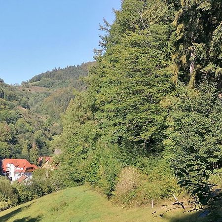 Huberhof Pfaffenbach Villa Gengenbach Dış mekan fotoğraf