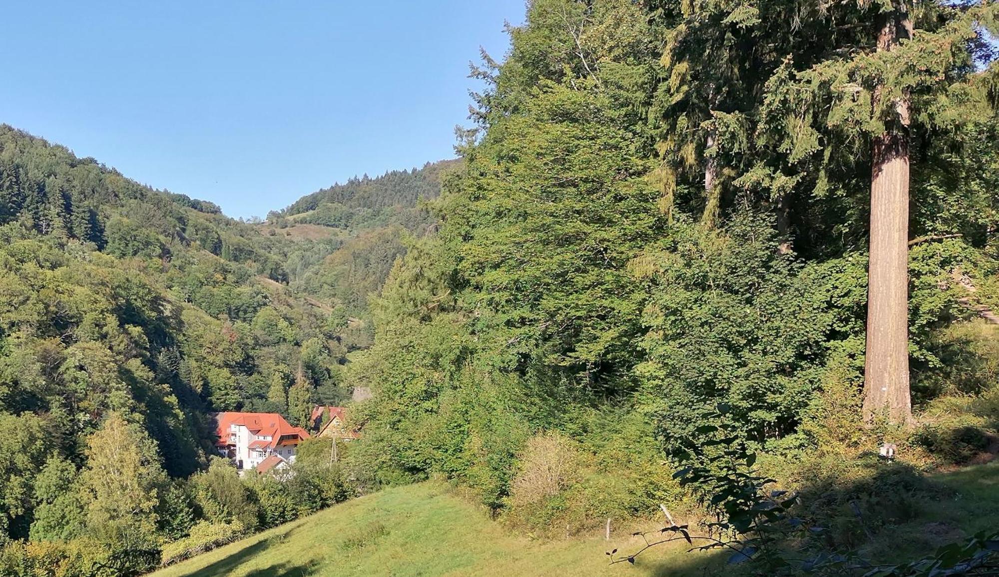 Huberhof Pfaffenbach Villa Gengenbach Dış mekan fotoğraf