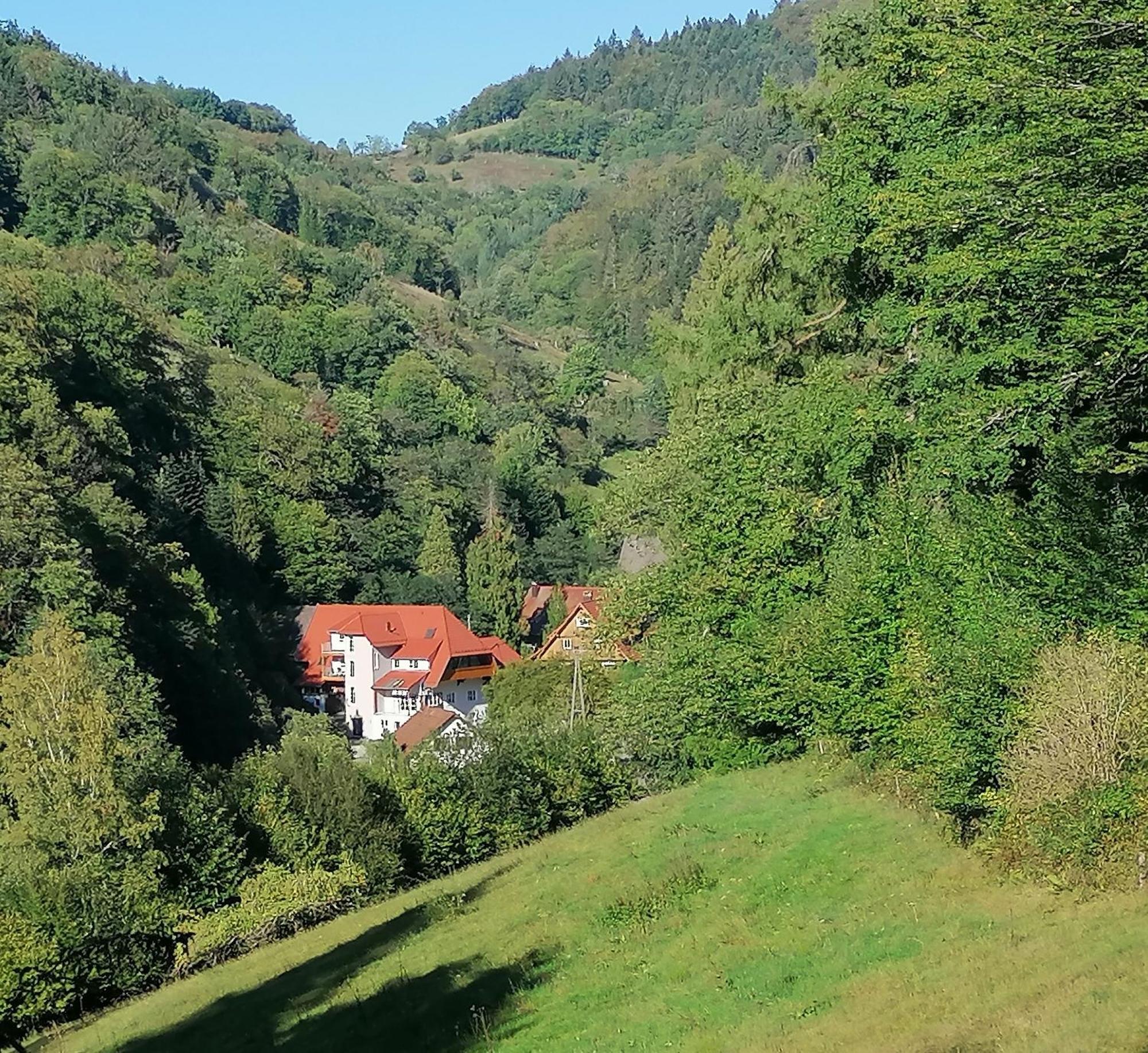 Huberhof Pfaffenbach Villa Gengenbach Dış mekan fotoğraf